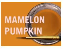 MIYO MAMELON PUMPKIN FLUOR PASTE 4G