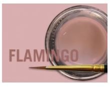 MIYO GINGIVAL FLAMINGO PASTE 4G