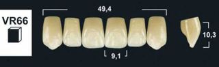 VR66 B1 UPPER ANTERIOR TRIBOS TEETH