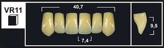 VR11 B2 UPPER ANTERIOR TRIBOS TEETH