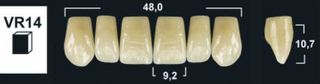 VR14 A1 UPPER ANTERIOR TRIBOS TEETH