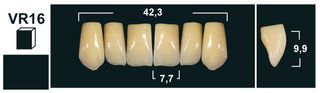 VR16 A1 UPPER ANTERIOR TRIBOS TEETH