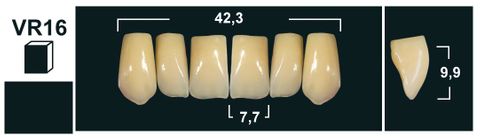 VR16 A1 UPPER ANTERIOR TRIBOS TEETH