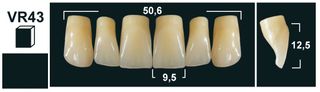 VR43 B1 UPPER ANTERIOR TRIBOS TEETH