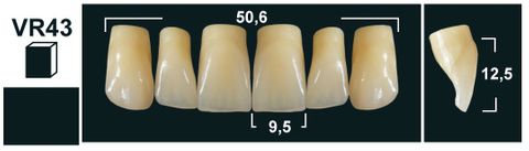 VR43 B1 UPPER ANTERIOR TRIBOS TEETH