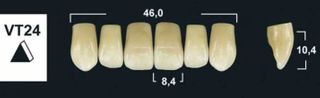 VT24 B4 UPPER ANTERIOR TRIBOS TEETH