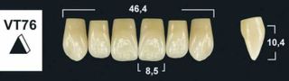 VT76 A1 UPPER ANTERIOR TRIBOS TEETH