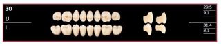 30U-BL2 DELARA TEETH UPPER POSTERIOR