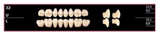 32U-BL2 DELARA TEETH UPPER POSTERIOR