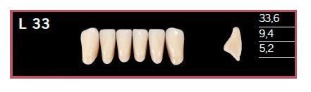 L33-BL2 DELARA TEETH LOWER ANTERIOR