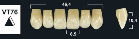 VT76 B4 UPPER ANTERIOR TRIBOS TEETH