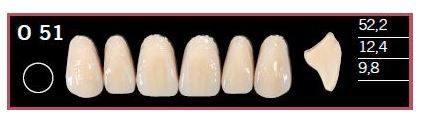 O51-BL2 DELARA TEETH UPPER ANTERIOR