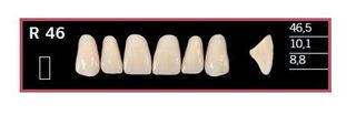 R46-BL2 DELARA TEETH UPPER ANTERIOR