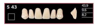 S43-BL2 DELARA TEETH UPPER ANTERIOR