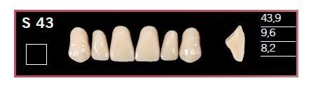 S43-BL2 DELARA TEETH UPPER ANTERIOR