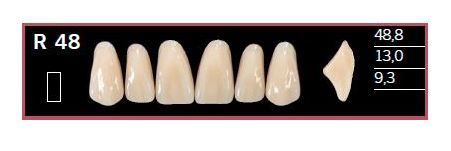 R48-BL2 DELARA TEETH UPPER ANTERIOR