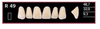 R49-BL2 DELARA TEETH UPPER ANTERIOR