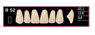 R52-BL2 DELARA TEETH UPPER ANTERIOR