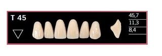 T45-BL2 DELARA TEETH UPPER ANTERIOR