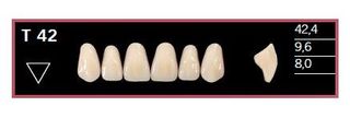 T42-BL2 DELARA TEETH UPPER ANTERIOR