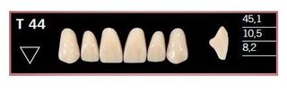 T44-BL2 DELARA TEETH UPPER ANTERIOR