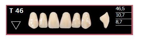 T46-BL2 DELARA TEETH UPPER ANTERIOR