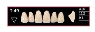 T49-BL2 DELARA TEETH UPPER ANTERIOR