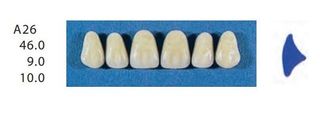 A26-C2U ANTERIOR SENATOR TEETH