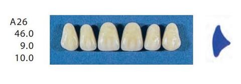 A26-C2U ANTERIOR SENATOR TEETH