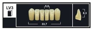 LV3 BL3 LOWER ANTERIOR TRIBOS TEETH