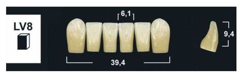 LV8 BL3 LOWER ANTERIOR TRIBOS TEETH