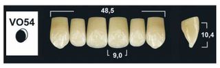 VO54 BL3 UPPER ANTERIOR TRIBOS TEETH