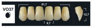 VO37 BL3 UPPER ANTERIOR TRIBOS TEETH