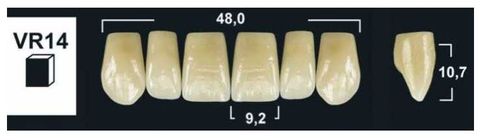 VR14 BL3 UPPER ANTERIOR TRIBOS TEETH