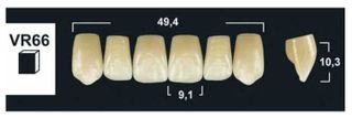 VR66 BL3 UPPER ANTERIOR TRIBOS TEETH