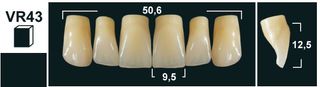 VR43 BL3 UPPER ANTERIOR TRIBOS TEETH