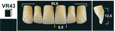 VR43 BL3 UPPER ANTERIOR TRIBOS TEETH