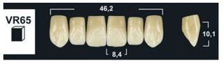 VR65 BL3 UPPER ANTERIOR TRIBOS TEETH