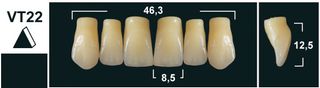 VT22 BL3 UPPER ANTERIOR TRIBOS TEETH