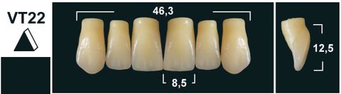 VT22 BL3 UPPER ANTERIOR TRIBOS TEETH