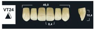 VT24 BL3 UPPER ANTERIOR TRIBOS TEETH