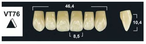 VT76 BL3 UPPER ANTERIOR TRIBOS TEETH