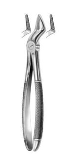 EXTRACTION FORCEPS UPPER ROOTS 51