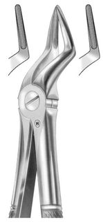 EXTRACTION FORCEPS UPPER ROOTS 51A