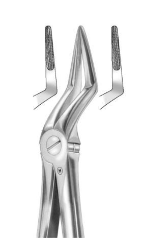 EXTRACTION FORCEPS UPPER ROOTS 51M