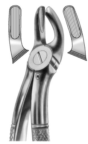 EXTRACTION FORCEPS UPPER THIRD MOLAR 19