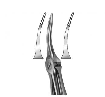 EXTRACTION FORCEPS UPPER ROOT 49