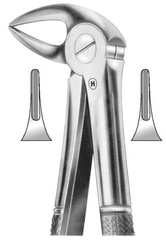 EXTRACTION FORCEPS LOWER ROOTS 33A
