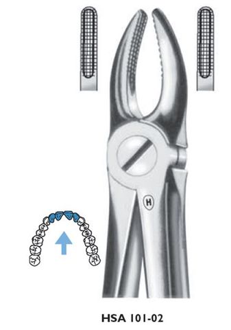 EXTRACTION FORCEPS UPPER CANINE 2