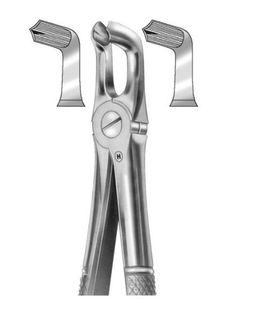 EXTRACTION FORCEPS LOW THIRD MOLARS 79